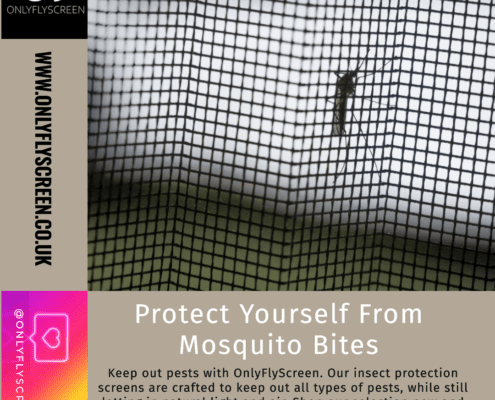 Mosquito Nets